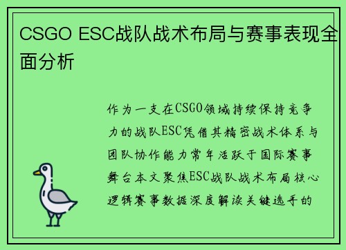 CSGO ESC战队战术布局与赛事表现全面分析